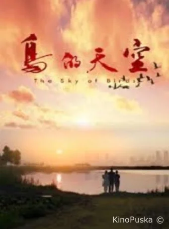 Небо для птиц / Sky of birds 2021 смотреть онлайн