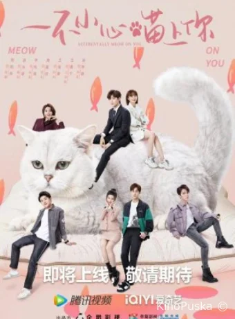 Сериал Случайный мяу / Accidentally Meow on You 2024 смотреть онлайн 2 сезон 25 серия