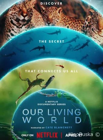Сериал Наш живой мир / Our Living World 2024 смотреть онлайн 2 сезон 5 серия