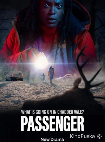 Сериал Пассажир / Passenger 2024 смотреть онлайн 2 сезон 7 серия