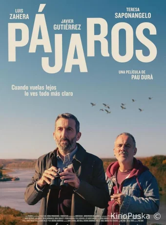 Птицы / Pájaros 2024 смотреть онлайн