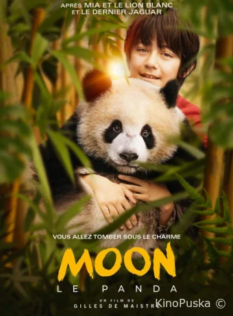 Моя панда / Moon le panda 2025 смотреть онлайн