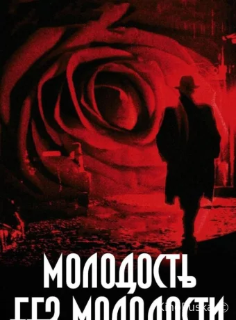 Молодость без молодости / Youth Without Youth 2007 смотреть онлайн