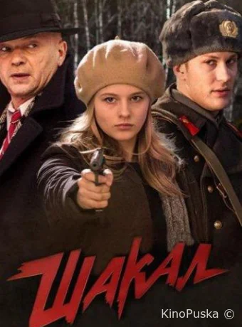 Сериал Шакал /  2016 смотреть онлайн 2 сезон 8 серия