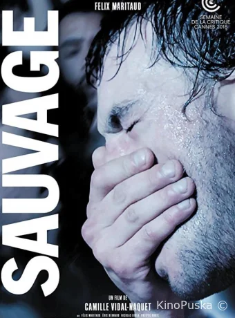 Дикий / Sauvage 2018 смотреть онлайн